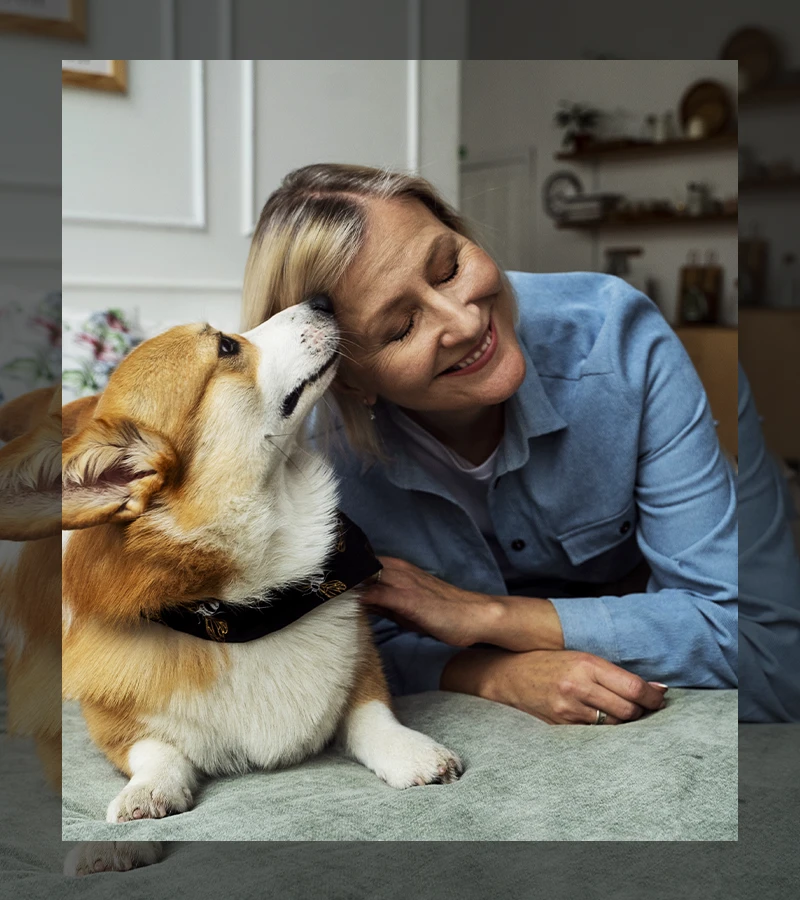 Cachorro fazendo carinho na sua dona